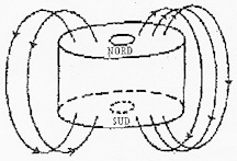 FIGURA 3