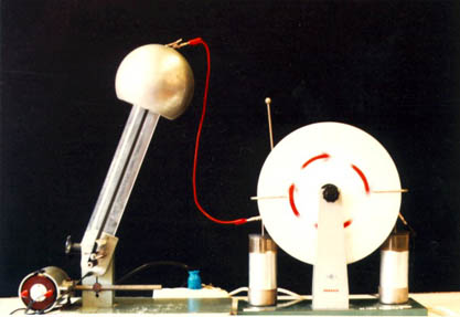 FIGURA 6